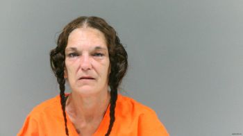 Sue Ann White Mugshot