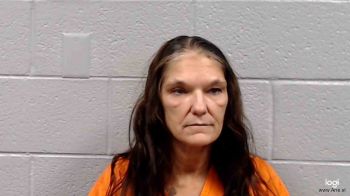 Sue Ann White Mugshot