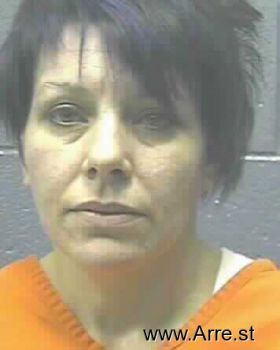 Susan Nicole Adkins Mugshot