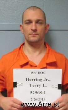 Terry L Herring, Jr Mugshot