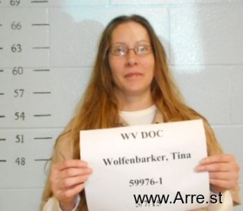Tina F Wolfenbarker Mugshot