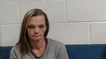 Tabitha Lynn Johnson Mugshot