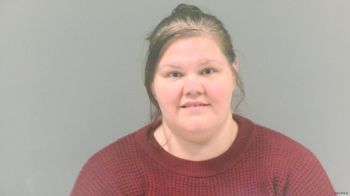 Tammy Delynn Endicott Mugshot