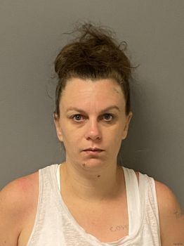 Tammy Jean Holmes Mugshot