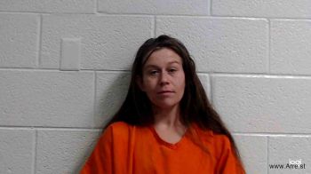 Tammy Lynn Meadows Mugshot