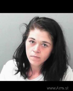 Tammy  Tieman Mugshot