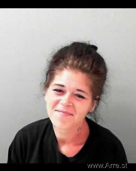 Tammy  Tieman Mugshot