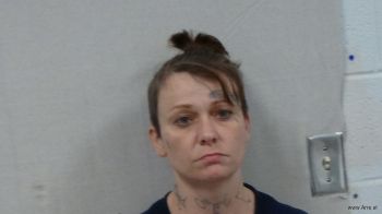 Tashina Renee Hammons Mugshot