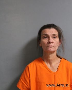 Teresa Darlene Holstein Mugshot