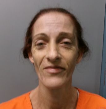 Teri Lynn Young Mugshot