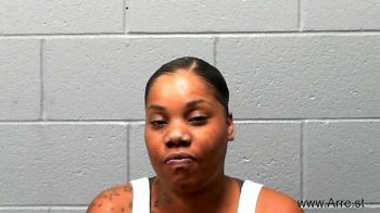 Terri Lyn Mitchell Mugshot