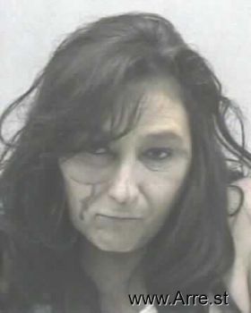 Terri Lynn Workman Mugshot