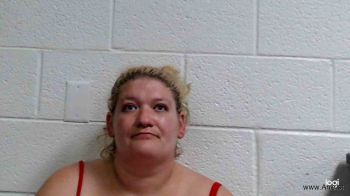 Tiffany Nicole Harrison Mugshot