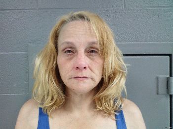 Tina Louise Harvey Mugshot