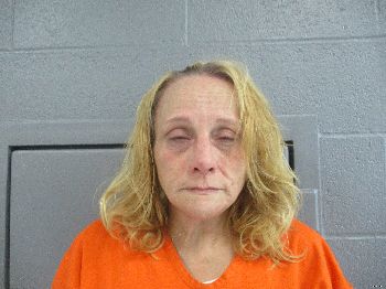 Tina Louise Harvey Mugshot