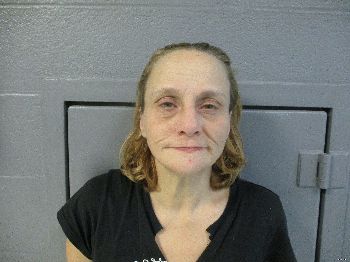 Tina Louise Harvey Mugshot