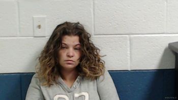 Tina Louise Mullins Mugshot