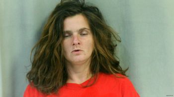 Tonya Lynn Nichol Butler Mugshot