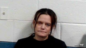 Tonya Lynn Church Mugshot