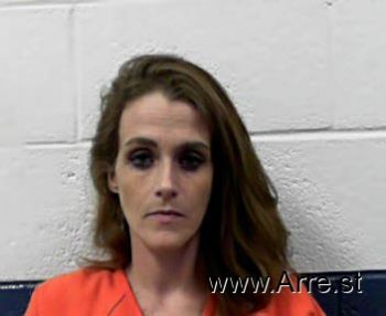 Tonya Ann Johnson Mugshot