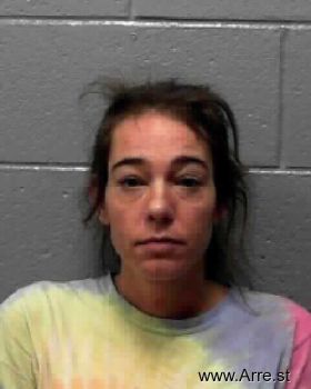 Tonya Michelle Vannatter Mugshot