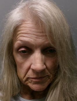 Tracey Gail Long Mugshot