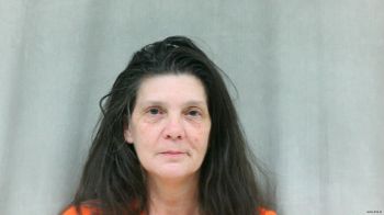 Tracy Lynn Peters Mugshot