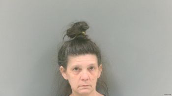 Tracy Lynn Peters Mugshot