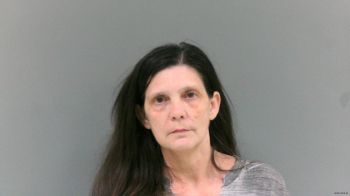 Tracy Lynn Peters Mugshot