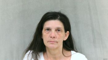 Tracy Lynn Peters Mugshot