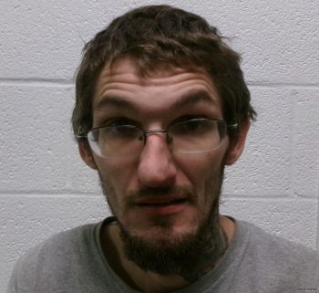 Travis Wayne Brown Mugshot