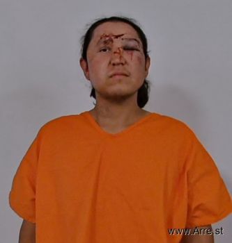 Trevor Bryce Simmons Mugshot