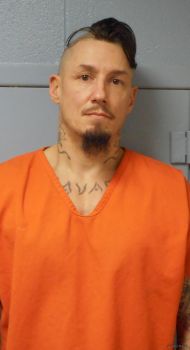 Troy Lee, Jr. Porter Mugshot