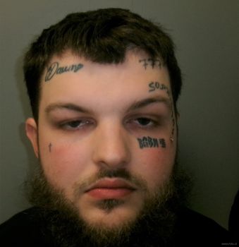 Tyler Logan Cook Mugshot