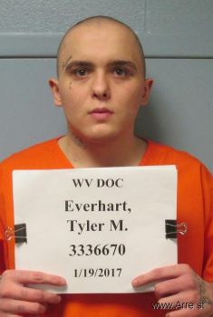 Tyler Michael Everhart Mugshot