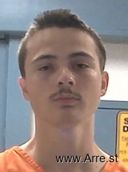 Tyler Austin Hanna Mugshot