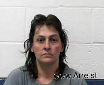 Vickie Lynn Steffey Mugshot