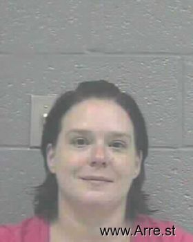 Vicky Lynn Wriston Mugshot