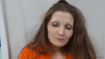 Virginia Joyce Rendina Mugshot