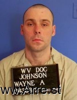 Wayne A Johnson Mugshot