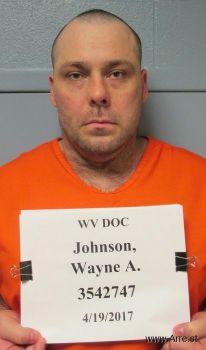 Wayne Anthony Johnson Mugshot