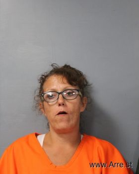 Wendy Dawn Landers Mugshot