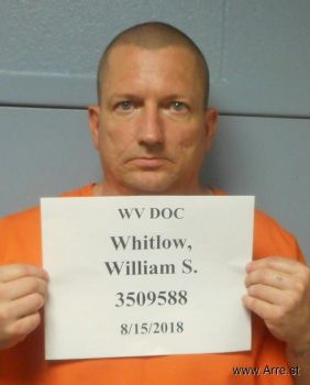 William Shane Whitlow Mugshot