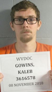 Kaleb  Gowins Mugshot