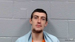 Aaron Adamini Arrest