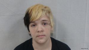 Alexis Long Arrest Mugshot