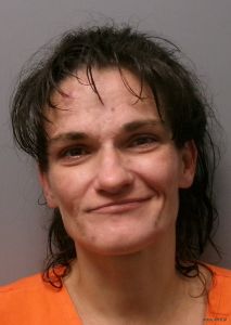 Alicia Fowler Arrest Mugshot