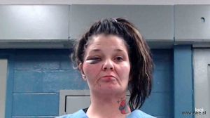 Alisa Snyder Arrest