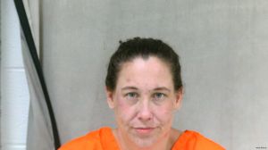 Allison Kirchner Arrest Mugshot