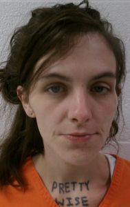 Allison Mccauley Arrest Mugshot